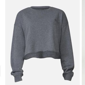 WSLY Ecosoft Cropped Crewneck Sweatshirt